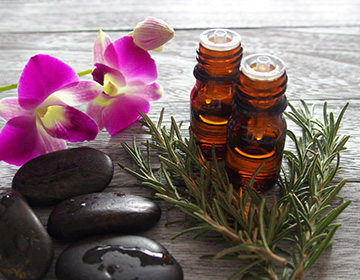 5つのなし宣言|求人フォトギャラリー(小) エルミタージュ